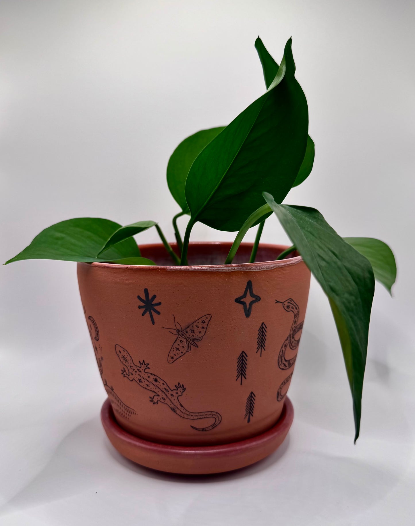 Boho Terracotta Planter