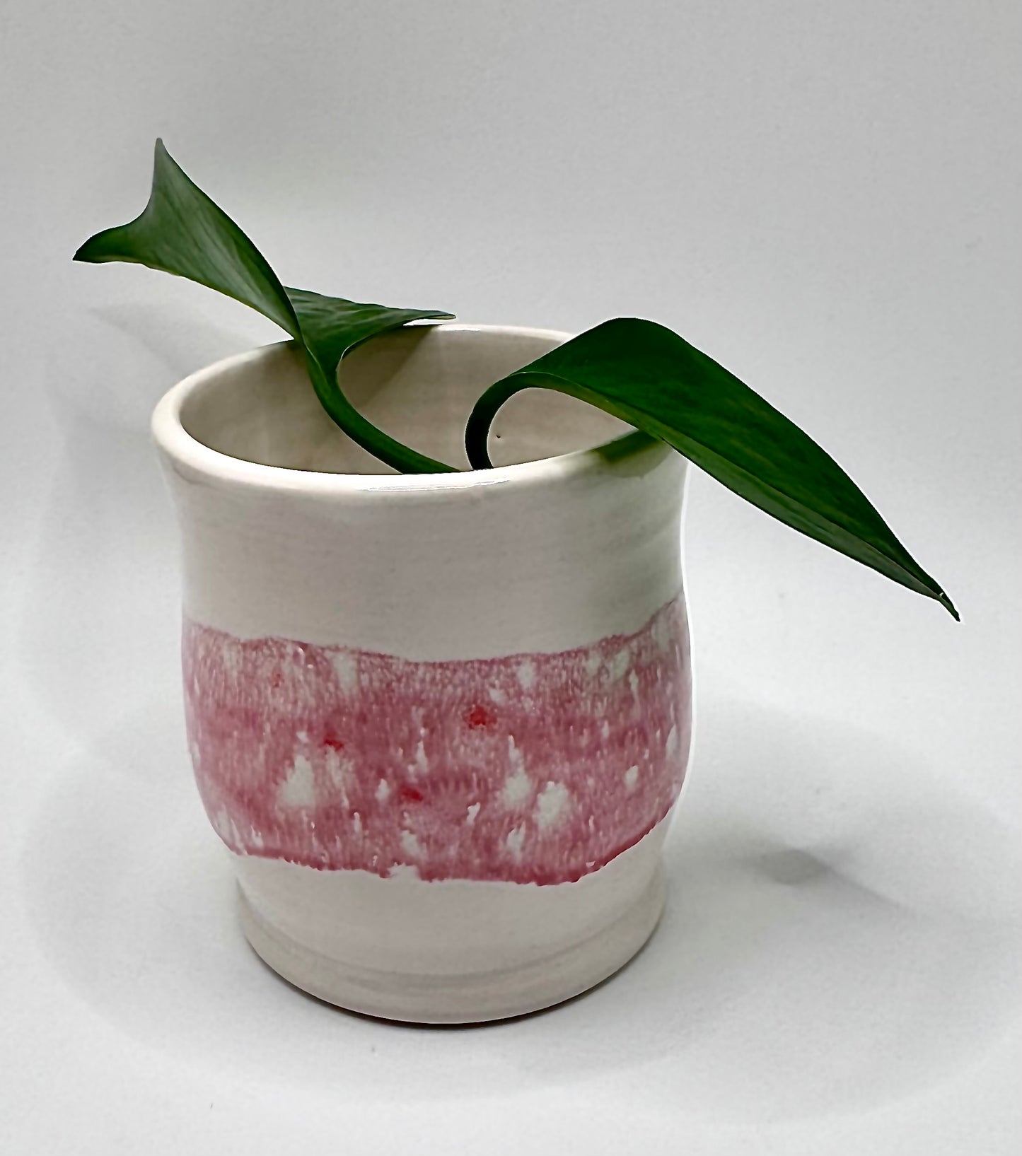 Sweet Succulent Mini Pot