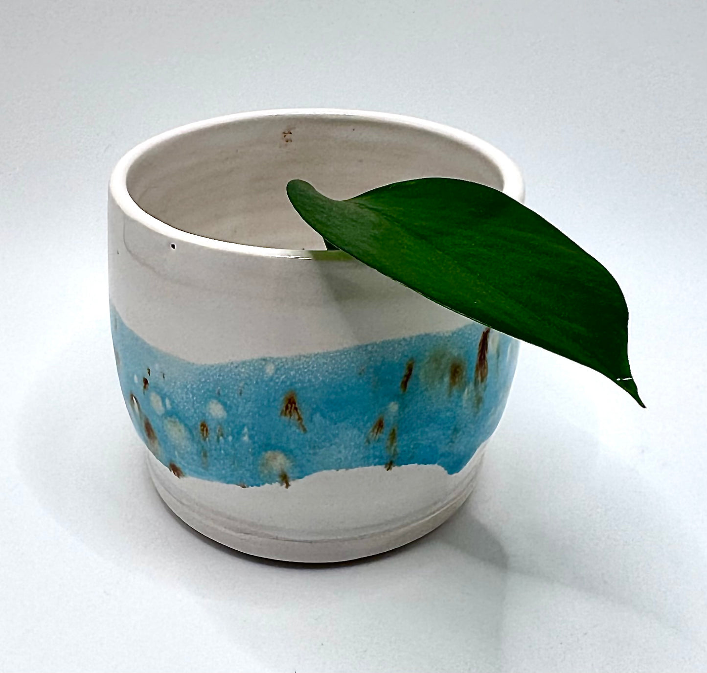 Aqua Sands Mini Pot