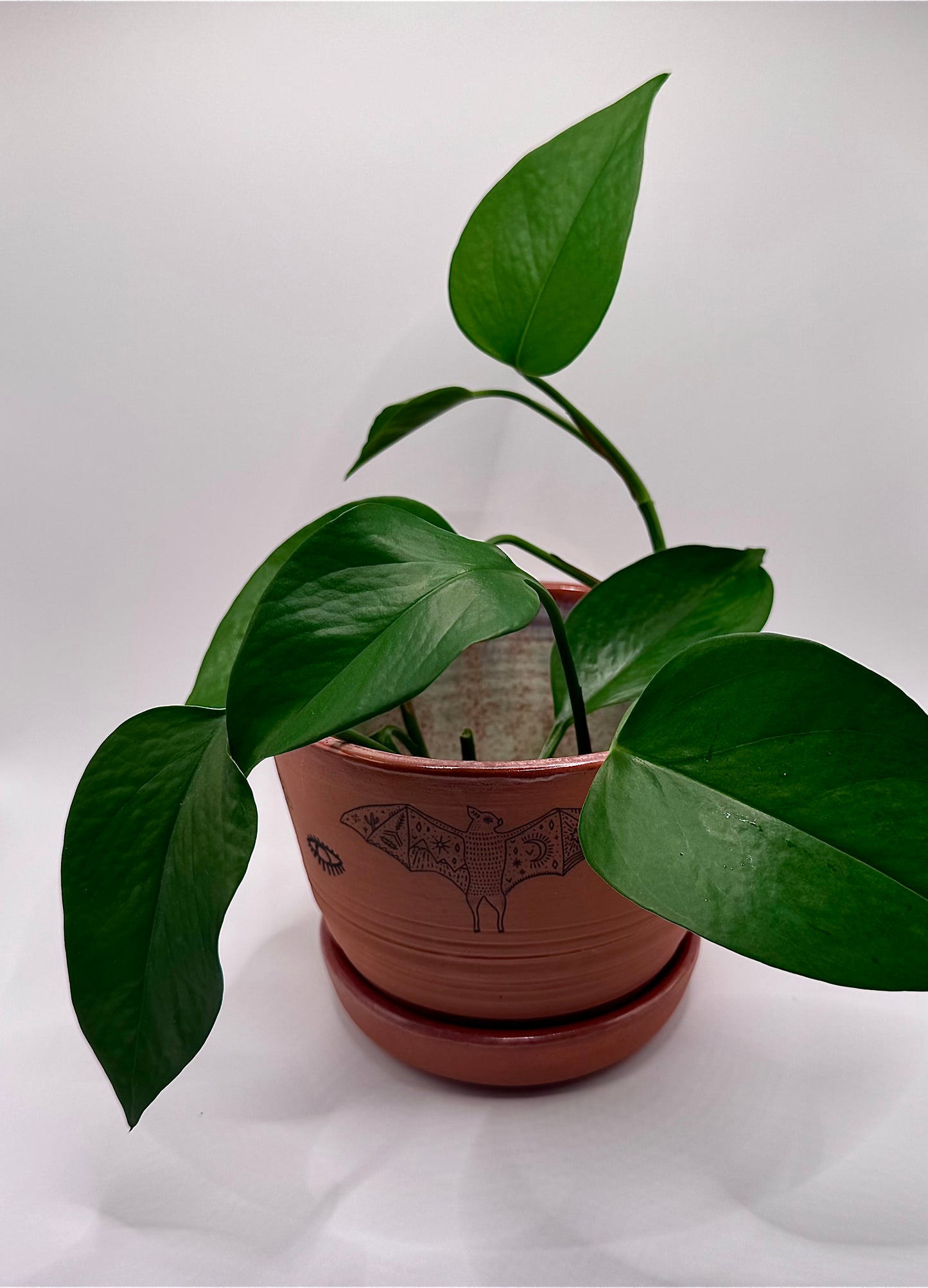 Boho Terracotta Planter
