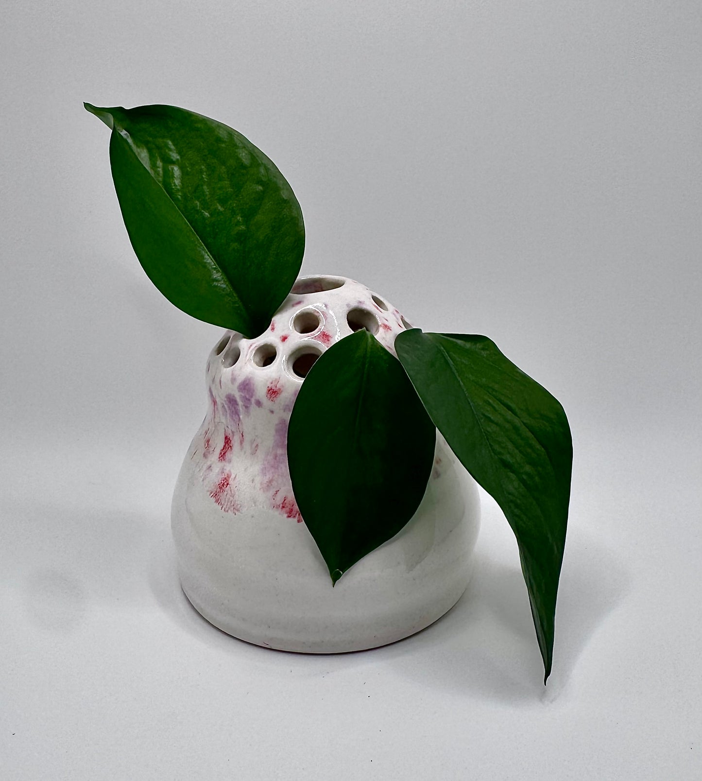 Berry Showers Bud Vase