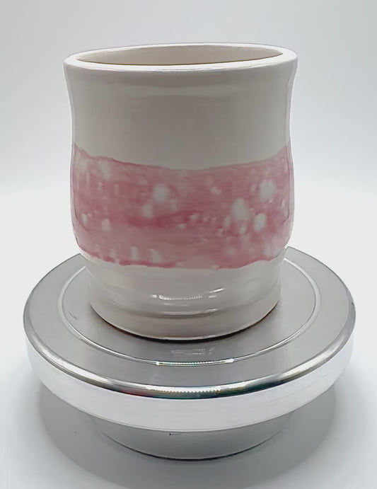 Sweet Succulent Mini Pot